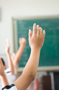 البرنامج الصيفي